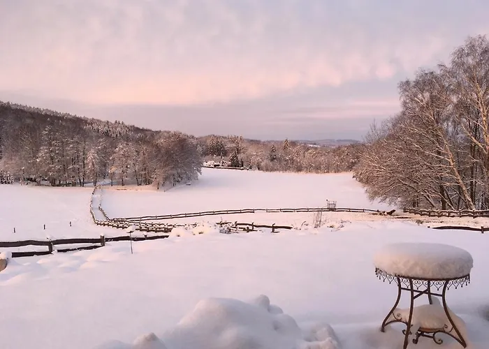 Ferienwohnung-ferienhaus Am Picho Holiday home